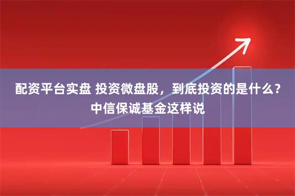 配资平台实盘 投资微盘股，到底投资的是什么？中信保诚基金这样说