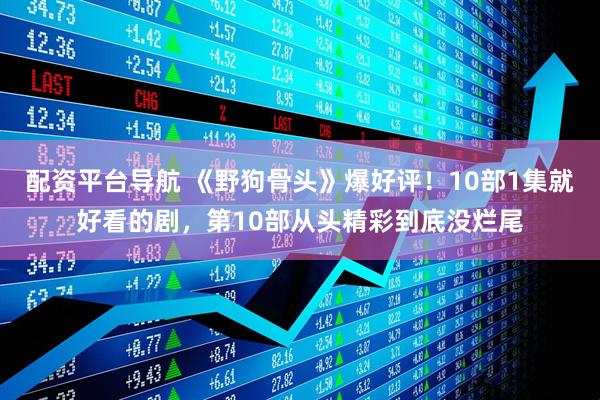 配资平台导航 《野狗骨头》爆好评!10部1集就好看的剧,第10部从头精彩到底没烂尾